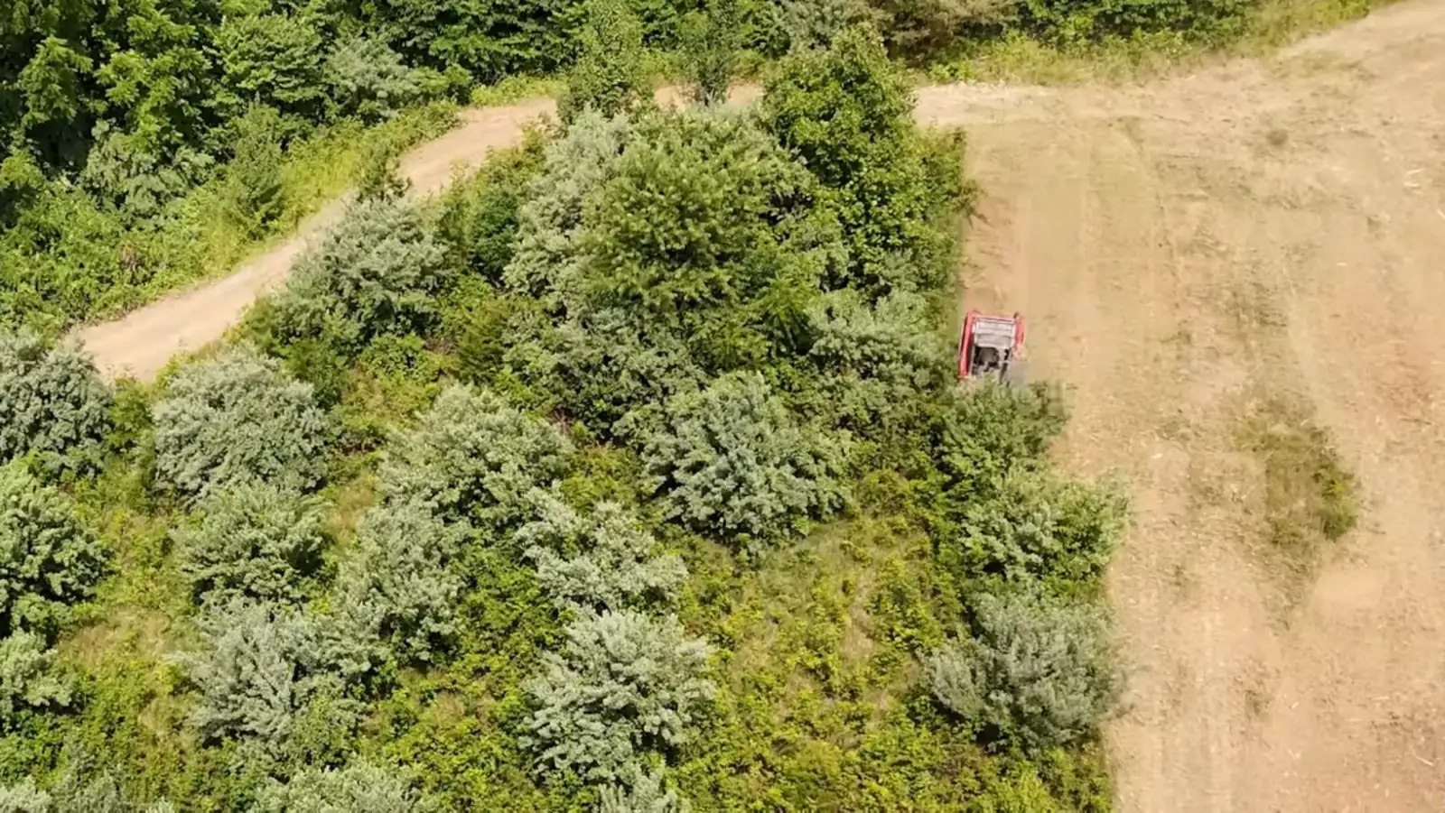 Aerial view of a mulching machine cutting a clearing line through thick brush